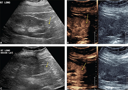 Fig 5